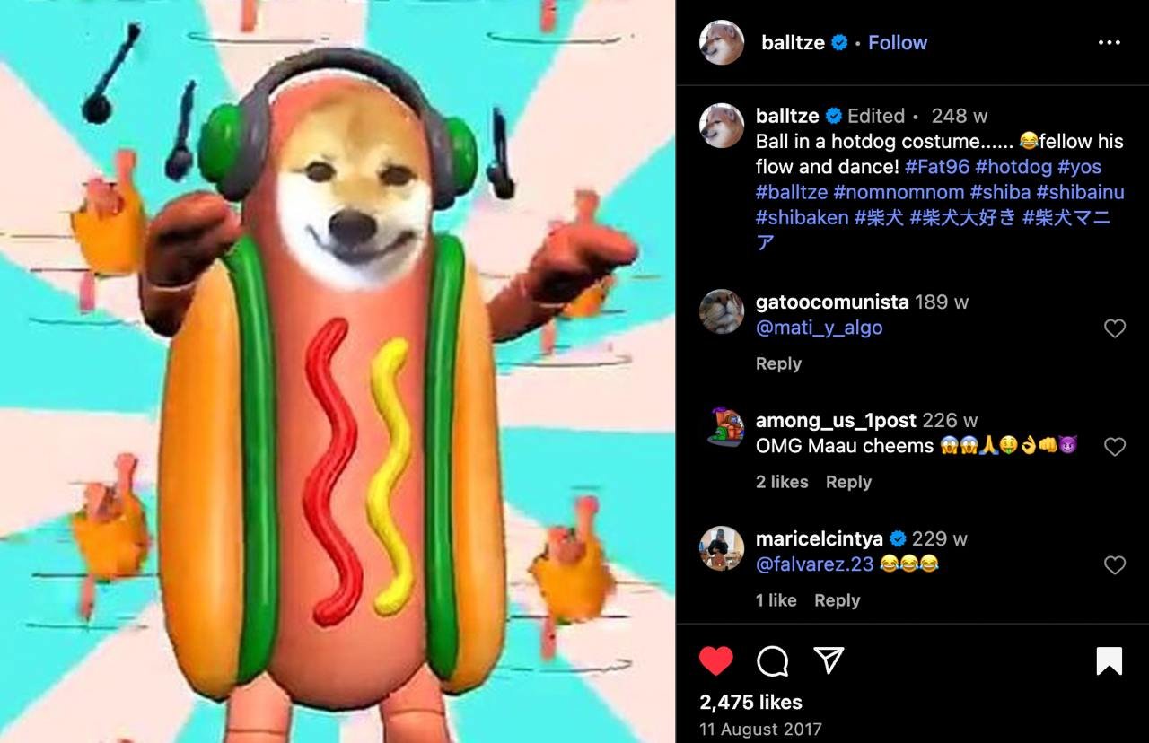 About hotdoge